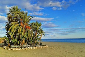 Estepona, Trsor Andalou de la Costa Del Sol